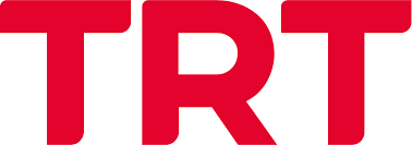 TRT LIGHTING LTD